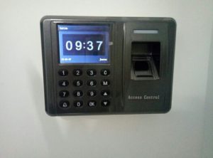 Alquiler de Trasteros y Mini Almacenes Collado Piña, 11